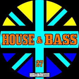Album cover of House & Bass Vol.27