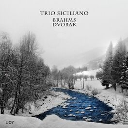 Album cover of Johannes Brahms, Antonín Dvorák : Trios