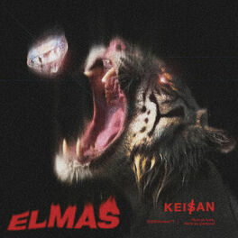 Album cover of Elmas