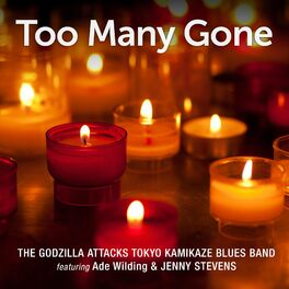 Album cover of Too Many Gone (feat. Jenny Stevens & Ade Wilding)