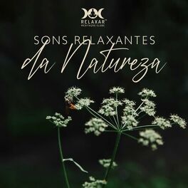 Album cover of Sons Relaxantes da Natureza: Música suave com chuva, rio e sons de jardim