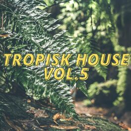 Album cover of Tropisk House Vol.5