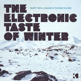 Album cover of The Electronic Taste of Winter (Tasty Tech-House & Techno Slices)