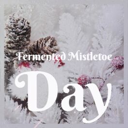 Album cover of Fermented Mistletoe Day