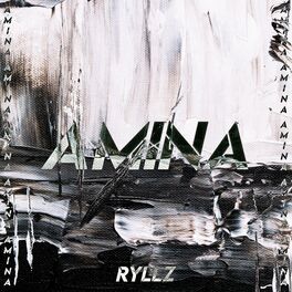 Album cover of AMINA