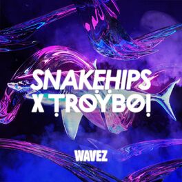 Album cover of Wavez