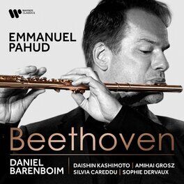 Album cover of Beethoven: Works for Flute