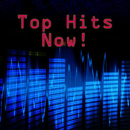 Album cover of Top Hits Now!
