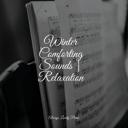 Album cover of Winter Comforting Sounds | Relaxation