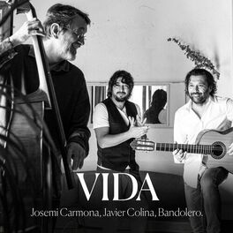 Album cover of Vida