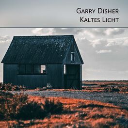 Album cover of Kaltes Licht