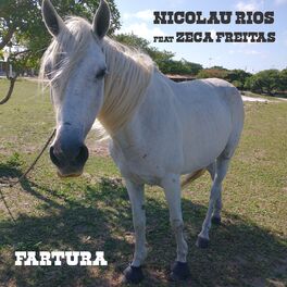 Album cover of Fartura