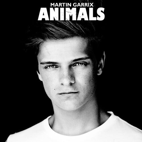 Martin Garrix - Animals: lyrics and songs | Deezer