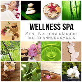 Album cover of Wellness Spa: Zen Naturgeräusche Entspannungsmusik, Harmonie für Körper, Geist und Seele, Regeneration, Wassermusik, Gelassenheit,