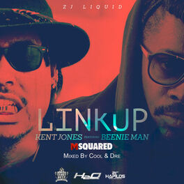Album cover of Link Up