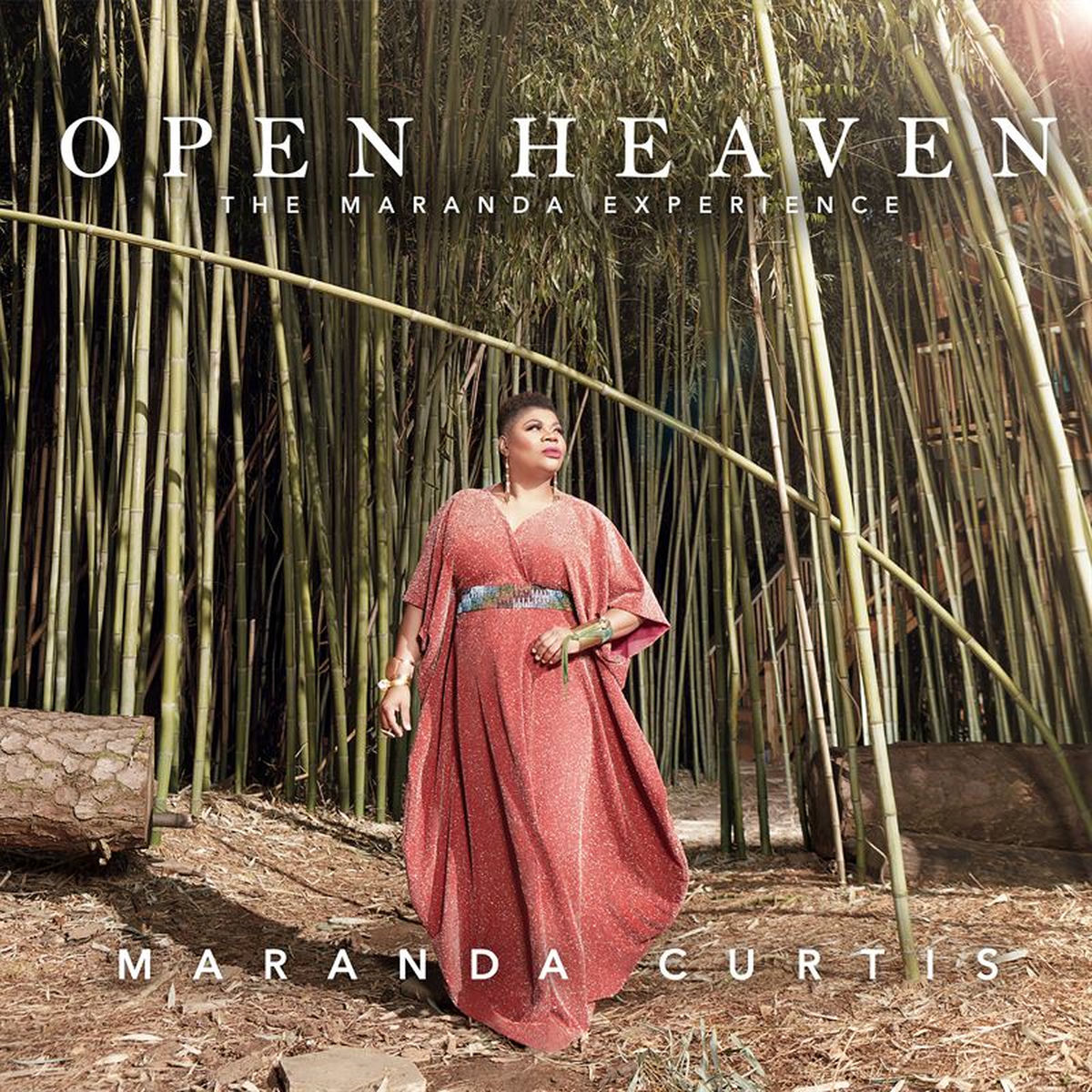 Maranda Curtis - Let Praises Rise: listen with lyrics | Deezer