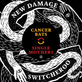 Album cover of New Damage Switcheroo, Vol. 1