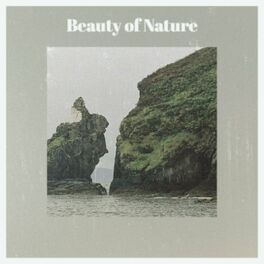 Album cover of Beauty of Nature