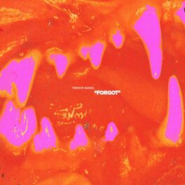 Album cover of Forgot
