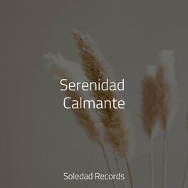 Album cover of Serenidad Calmante