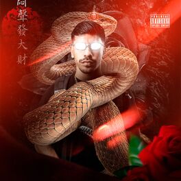 Album cover of Não Tolero