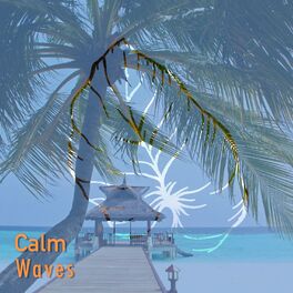 Album picture of # 1 Album: Calm Waves