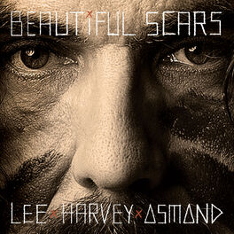 Album cover of Beautiful Scars