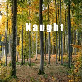 Album cover of Naught
