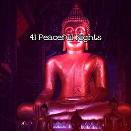 Album cover of 41 Peaceful Nights