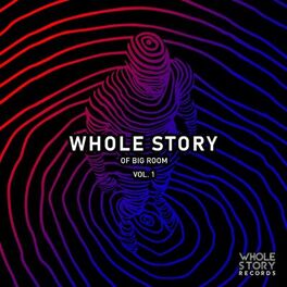 Album cover of Whole Story Of Big Room Vol. 1