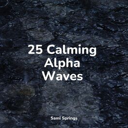 Album cover of 25 Calming Alpha Waves