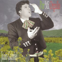 Album cover of Por Mi Orgullo