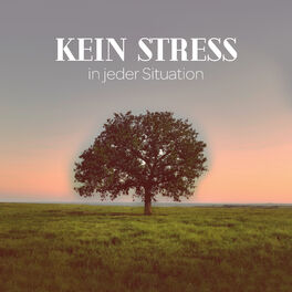 Album cover of Kein Stress in jeder Situation
