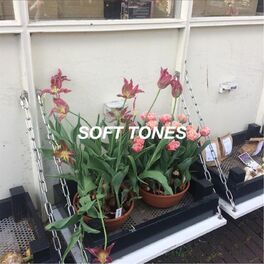 Album cover of Soft Tones