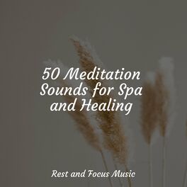 Album cover of 50 Meditation Sounds for Spa and Healing