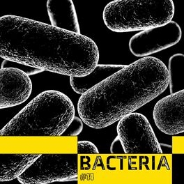 Album cover of Bacteria