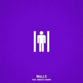 Album cover of Walls (feat. Skrizzly Adams)