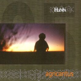 Album cover of Habibi