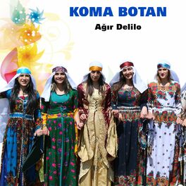 Album cover of Ağır Delilo