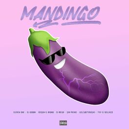 Album cover of Mandingo (feat. El Mega, El Jodon, Los Solteroski, Tief El Bellaco, Jeison el Mono & Sin Freno)