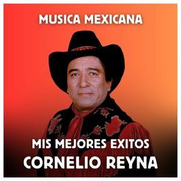 Album cover of Música Mexicana - Mis Mejores Exitos