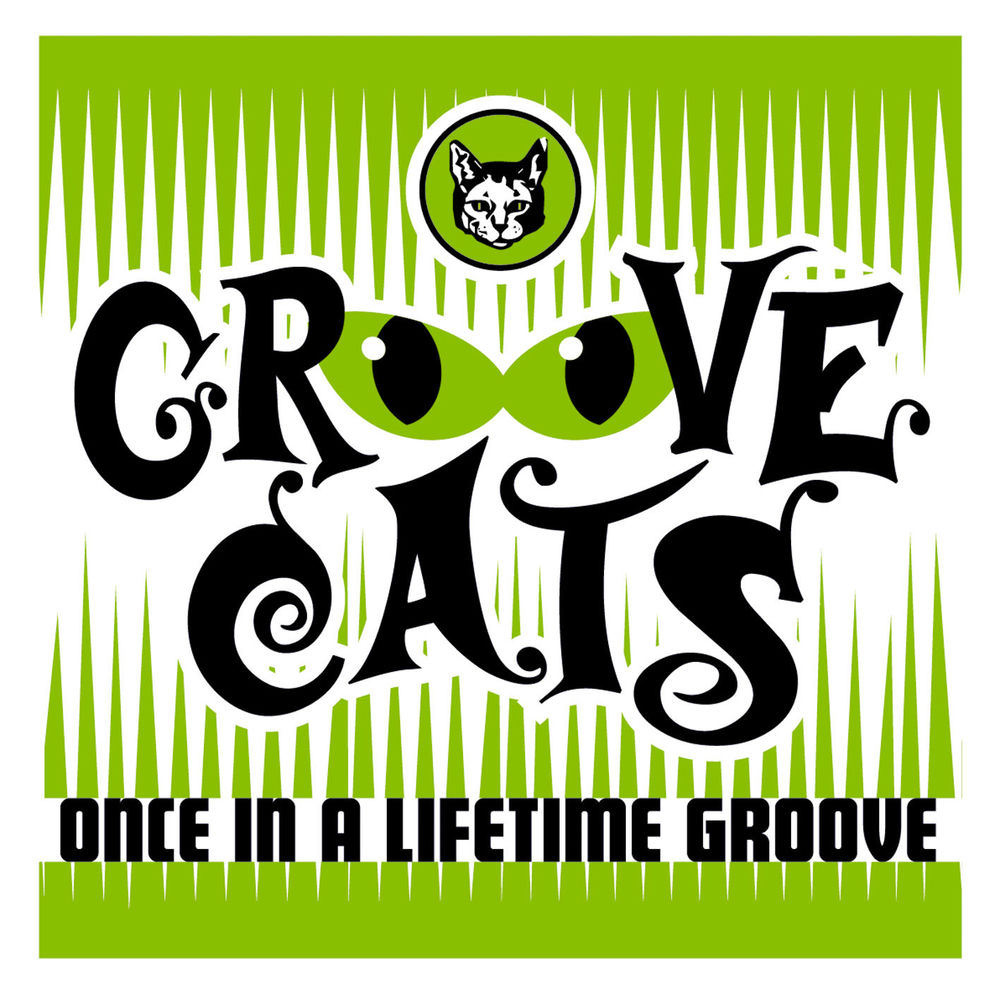 Groove cats once in a lifetime groove bridge tv baby time. Кэт грув. Беби тайм groove cats беби тайм. Беби тайм groove cats. Cats once in a lifetime.