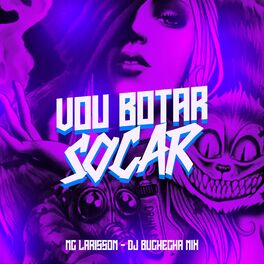 Album cover of Vou Botar, Socar