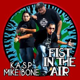 Album cover of Fist in the Air