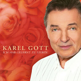 Album cover of Ich Hab Gelernt Zu Lieben