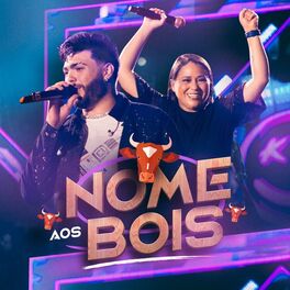 Album cover of Nome aos Bois
