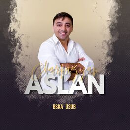 Album cover of Bska Usub