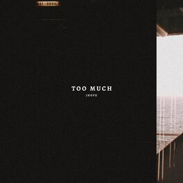 Album cover of Too Much