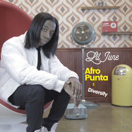 Album cover of Afro Punta 2 Diversity