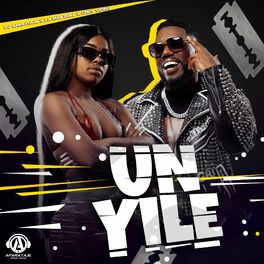 Album cover of Un Yile